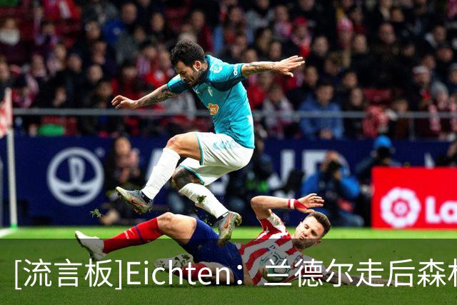 [流言板]Eichten：兰德尔走后森林狼存在篮板缺口，麦丹需要提升篮板